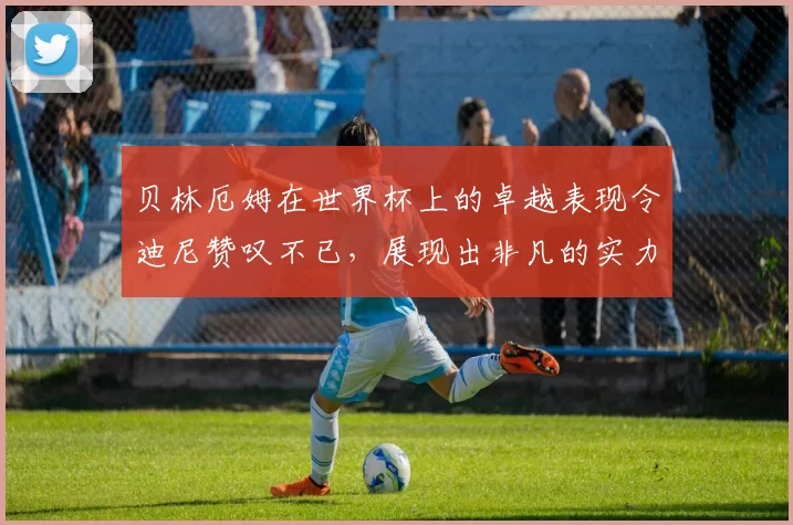贝林厄姆在世界杯上的卓越表现令迪尼赞叹不已，展现出非凡的实力与魅力